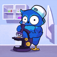 Crypto Coin GIF by BigBrains