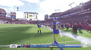 Los Angeles Rams Football GIF by NFL