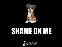 Shame My Bad GIF by CLEVIS