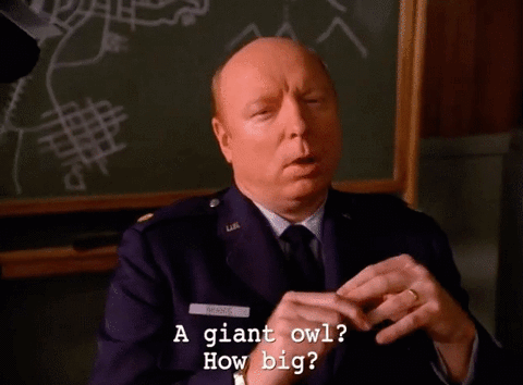 Season 2 Episode 13 GIF by Twin Peaks on Showtime