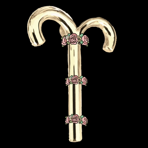 coachella aries GIF by Muskoka Nord