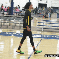 Baksetball GIF