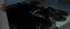 Universal GIF by Candyman