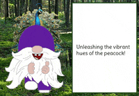 Gnome Peacock GIF