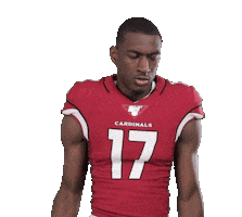 Arizona Cardinals Football Sticker by NFL