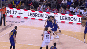 Tirar Liga Endesa GIF by ACB