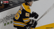 Ice Hockey Sport GIF by NHL