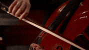 GIF by Giffffr