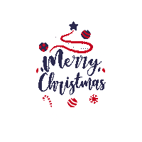 Appunitechristmas Sticker by appunite