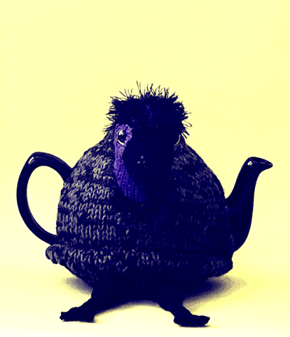 Big Bird GIF by TeaCosyFolk