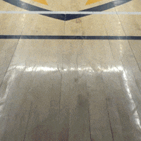 Mariah Copeland GIF by Toledo Rockets