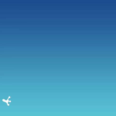 Lastenliitto kamu lisko kameleontti kamu kameleontti GIF