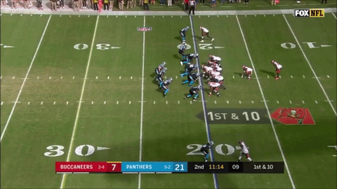 carolinapanthers GIF