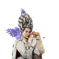 Shonda Rhimes Netflix Sticker