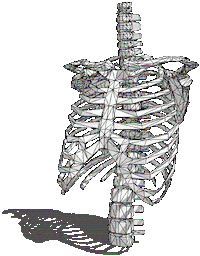 Spin Skeleton Sticker by badblueprints