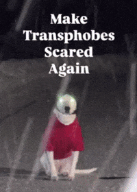 Dogs Sigma GIF