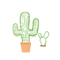 Cactus Sticker