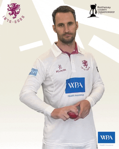 Ball Bat GIF by Somerset County Cricket Club