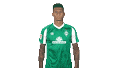 Davie Selke Goal Sticker by SV Werder Bremen