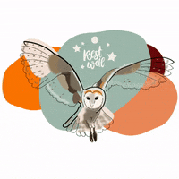 Daril night owl satori GIF