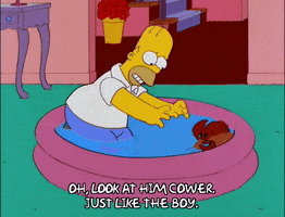 homer simpson GIF