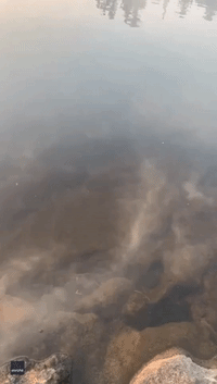 Smoke on the Water Seen as Wildfire Burns Near Northern Minnesota Lake