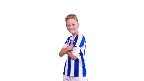 Voetbalvereniging_Scherpenzeel giphyupload sport voetbal bal Sticker