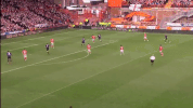 GIF by West Ham United