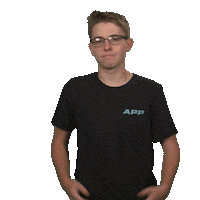 Pickleball Sticker by APP