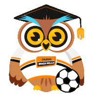 Football Soccer Sticker by Braga Mello