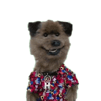 Confused Hacker T Dog Sticker by CBBC