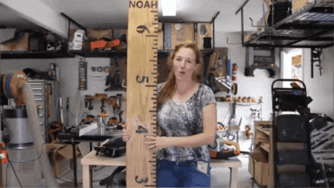 lucyfurnice giphygifmaker ruler height GIF