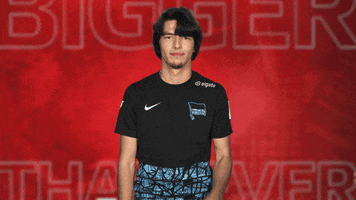 Hertha Bsc Love GIF by Bundesliga