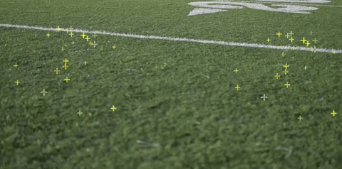 steelers GIF