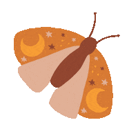 Butterfly Sticker