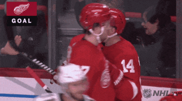 happy ice hockey GIF by NHL