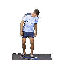 NSWWaratahs rugby jake kickflip new south wales Sticker