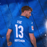 Sport Bundesliga GIF by TSG Hoffenheim