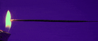 Happy New Years GIF by Thalia de Jong