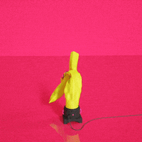 inflatable balloon GIF by gabrielpich
