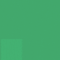 Bellingham GIF