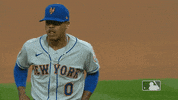 Regular Season Sport GIF by MLB