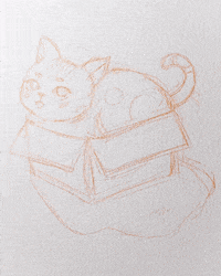 Catinbox GIF