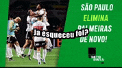 Copa Do Brasil Santos GIF