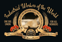 Organize Black Cat GIF by Industrial Workers of the World