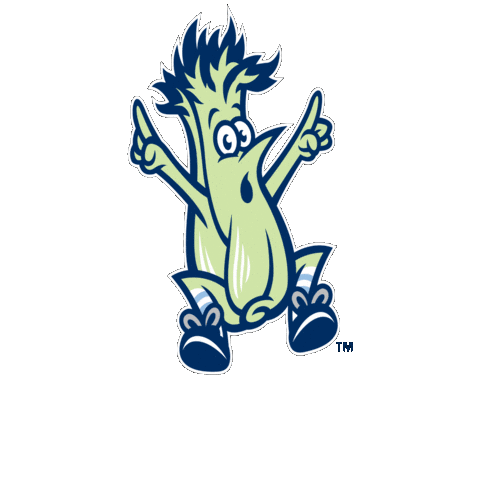 bluerocks giphygifmaker baseball wilmington blue rocks Sticker