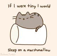 popular post GIF by Pusheen