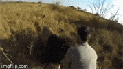 lion hug GIF by Daily Mail Online