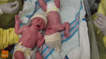 Newborn Twins Stop Crying as They Comfort Each Other