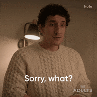 Nick Kroll What GIF by Adults